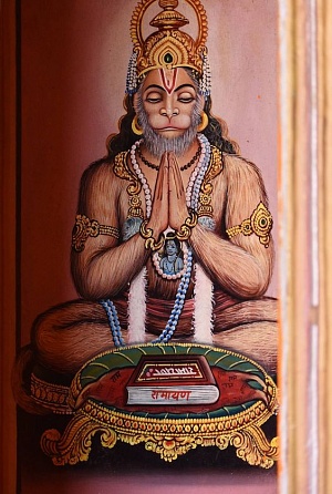Дхаджа-пантх